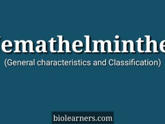 General characteristics and classification of phylum nemathelminthes/ aschelminthes/ nematodes