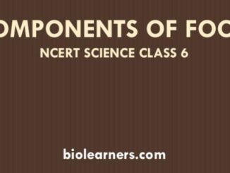 cbse class-6 ncert-science chapter 1 exercise questions and with solutions food where does it come from