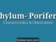 Characteristics and classification of Phylum Porifera with examples