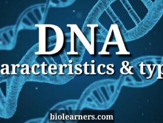General characteristics and types of DNA | Chargaff's rule | Central dogma