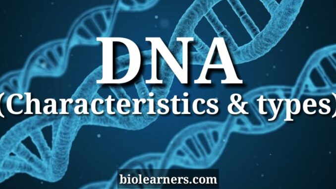 General characteristics and types of DNA | Chargaff's rule | Central dogma