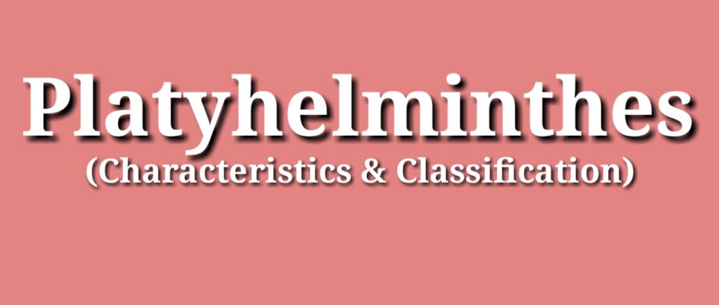 General characteristics and classification of phylum platyhelminthes (or flatworm) with examples