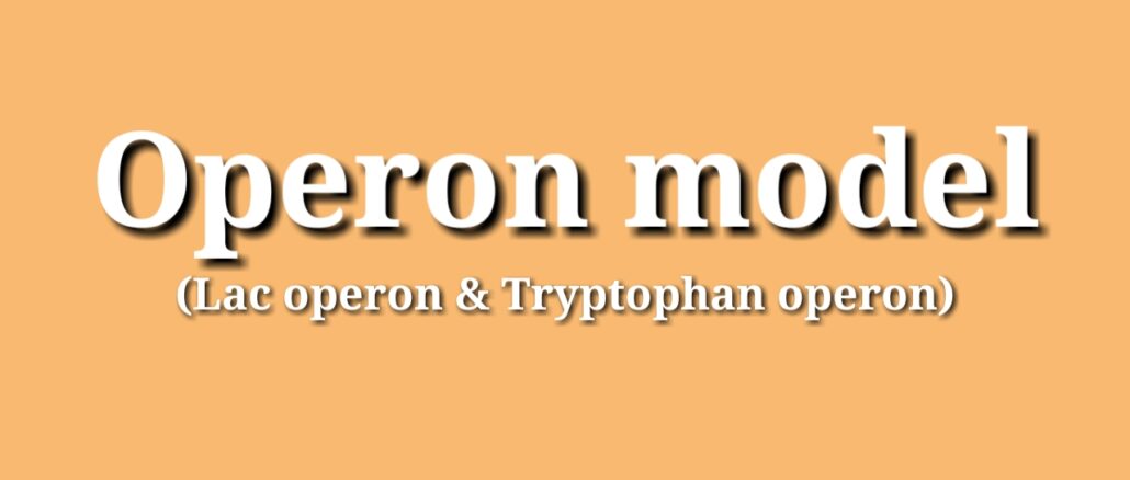 Operon model | Lac Operon (Lactose Operon) | Trp Operon (Tryptophan Operon)