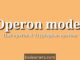 Operon model | Lac Operon (Lactose Operon) | Trp Operon (Tryptophan Operon)