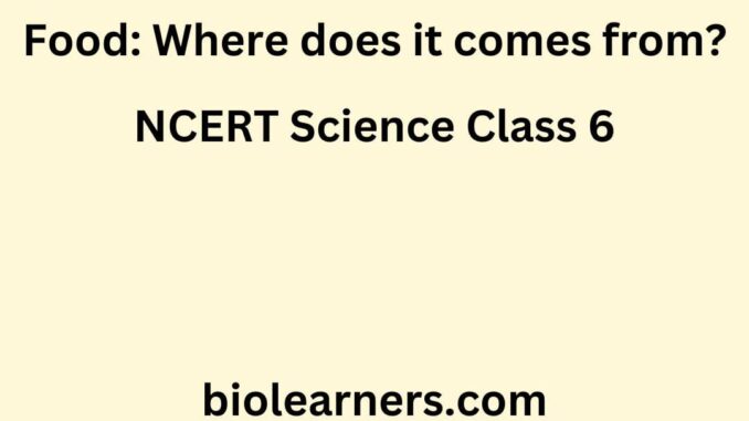 CBSE Class: 6 NCERT Science Chapter: 1 notes / extra questions / inside questions | Food: Where does it come from?
