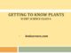 CBSE Class: 6 NCERT Science Chapter: 7 free notes / extra questions / inside questions | GETTING TO KNOW PLANTS | part I