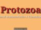 General characteristics and classification of Protozoa with examples