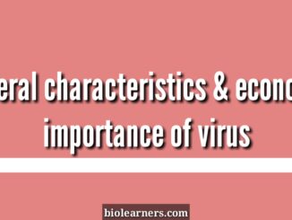 General characteristics and economic importance of virus
